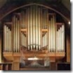 organ100x100_thumb.jpg